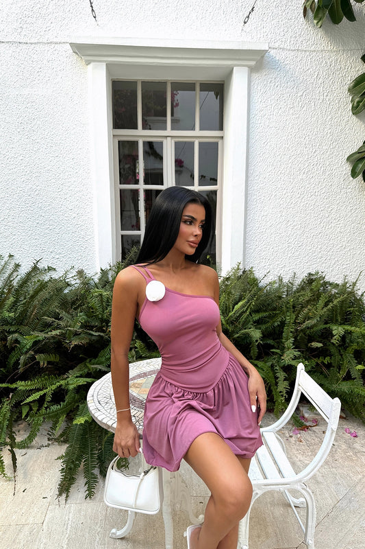 Dusty Rose Detail Mini Dress